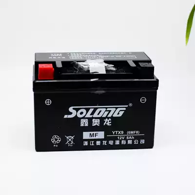 GSX DL GW250 DR300 original locomotive battery 12V8AH battery charger anti-counterfeiting verification