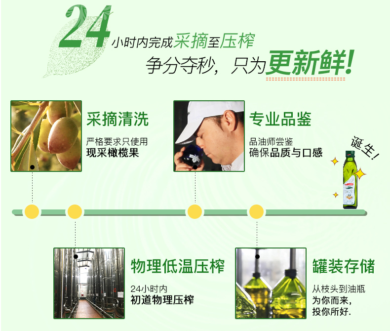 国家队备战保障产品 西班牙 品利 特级初榨橄榄油 750ml*4瓶 图3