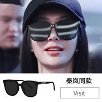 Посещение Qin LAN та же модель [УФ-профилактика]