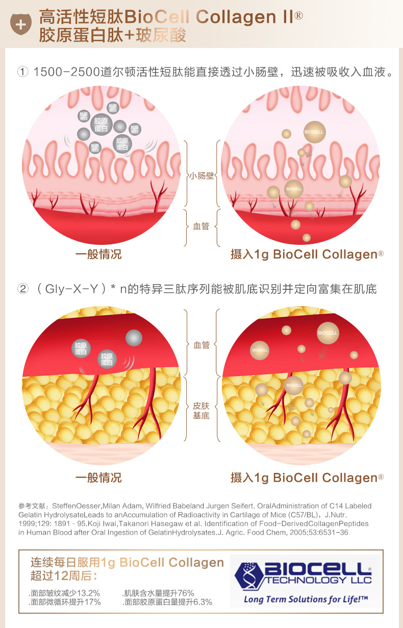 Мышечный белтский пептид (изменение) _08.jpg