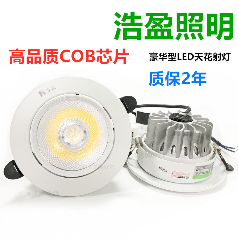 Haoying Lighting Led Spotlight Embedded Luxury Ceiling Light, Super Bright, Suitable for Home, Store, Supermarket, and Exhibition Hall
