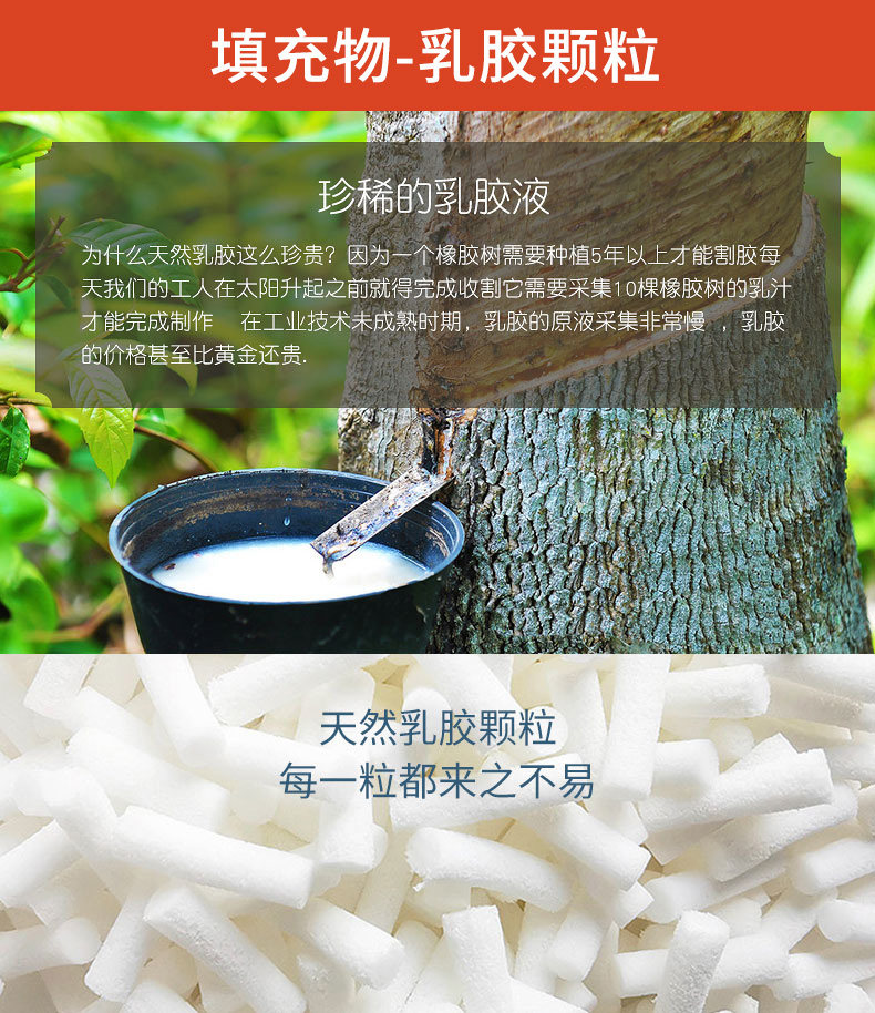 Латексные частицы 790.jpg