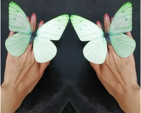 Зеленый, 1 пары, диаметр 13.5мм, 13.5см