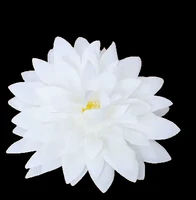 Белое кольцо, диаметр 12мм, 12см