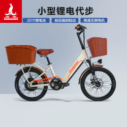Phoenix 20 inch new national standard electric bicycle men and women adult lithium battery car power electric bicycle