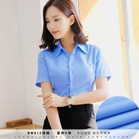 [Короткие рукава] V -neck Blue Flat Line