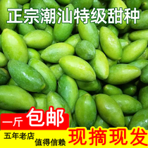 Authentic Chaoshan now picks fresh No. 2 sweet green olives sandalwood crispy sweet back to sweet pregnant women eat raw fruits as gifts