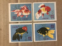 Goldfish Jinan Match 4*1