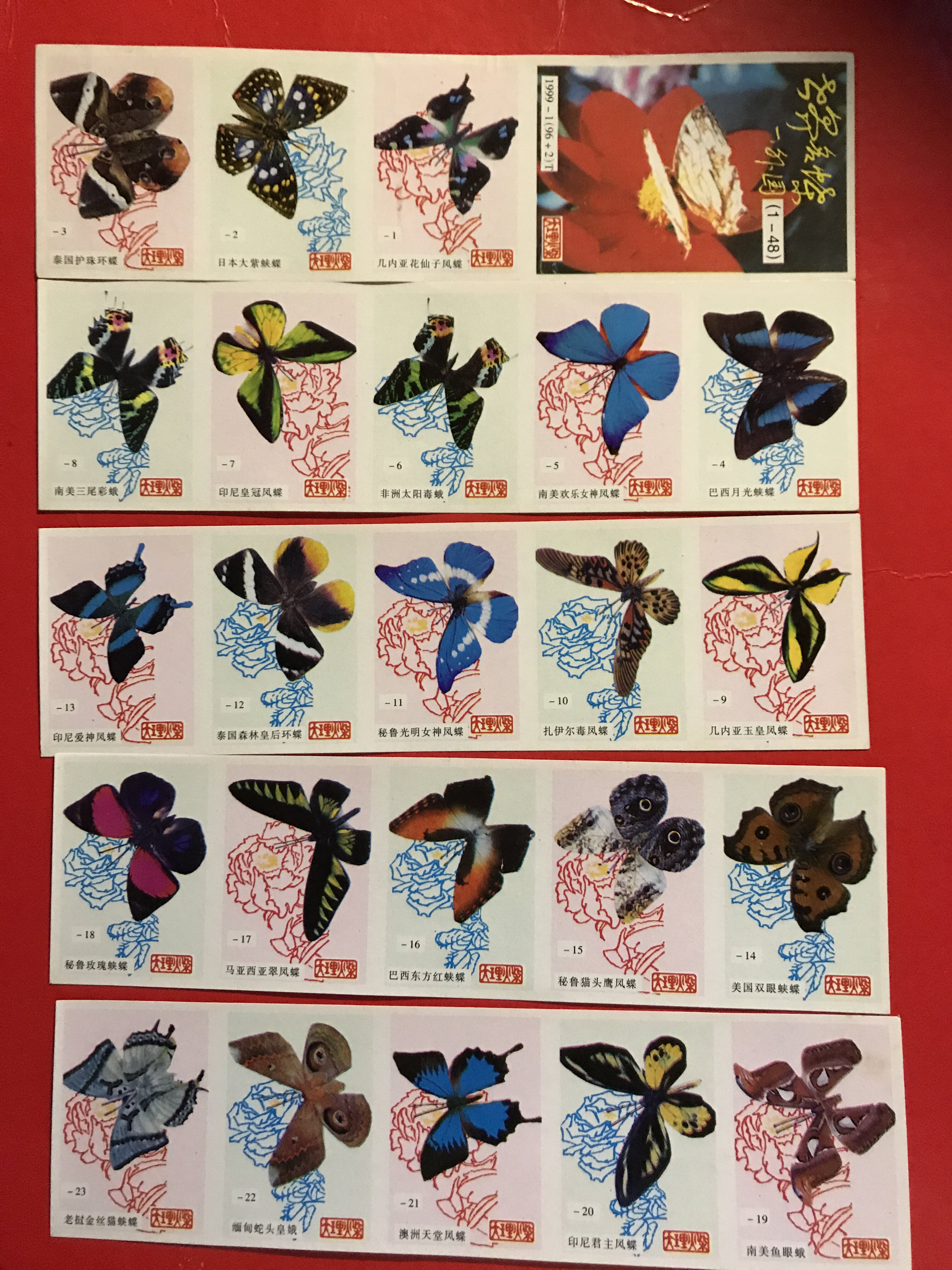 World name butterfly Spark Car Label 96 × 1 + 2 Dali Factory out