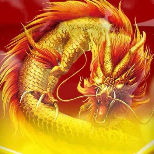 凤翼龙翔鸽粮源头厂家直销店的LOGO