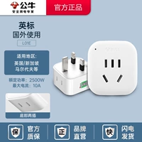 L01E Конвертер британского стандарта (для использования за рубежом)