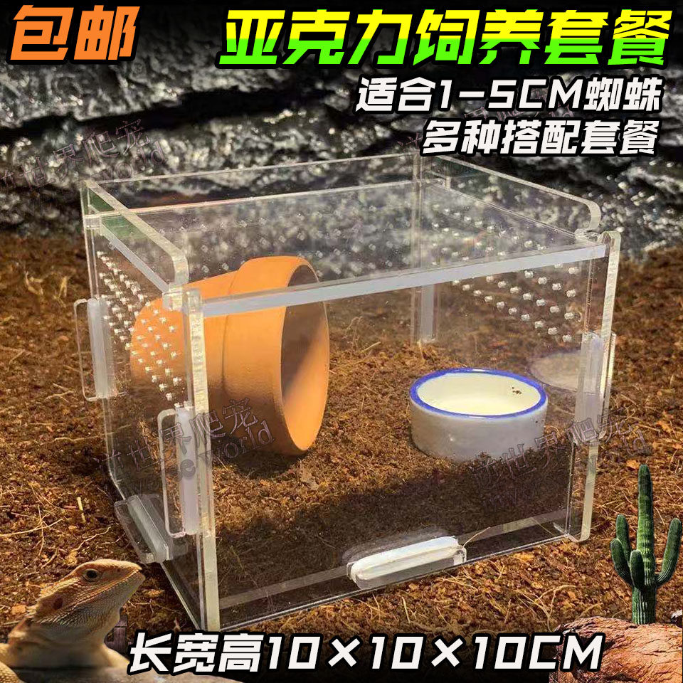 Small pet feeding box acrylic reptile box reptile box spider centipede feeding box reptile feeding box