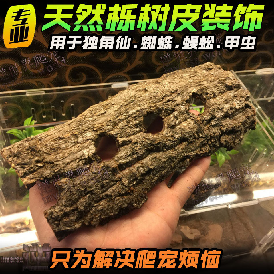 Broad-leaved oak bark adult landscaping climbing wood beetle bark to avoid bark non-slip bark nutrient soil bedding