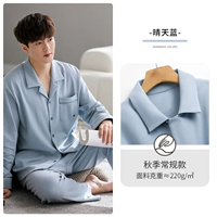 Мужской синий (осенний обычный)