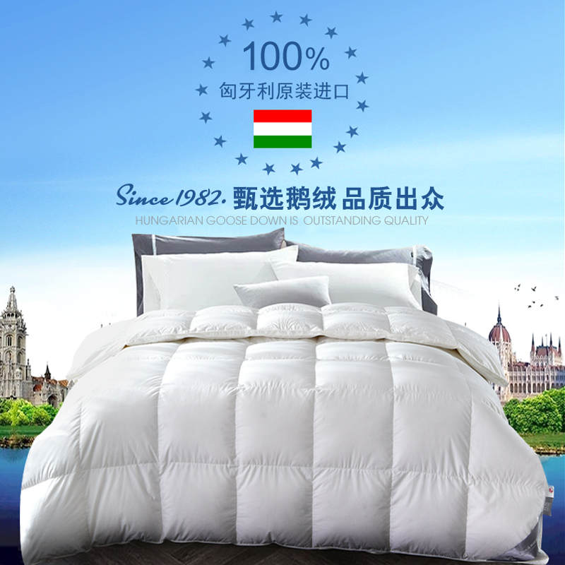 Japan Hilton hotel full cotton down to be imported Hungary 95% white goose down winter quilted with warm thickened quilt