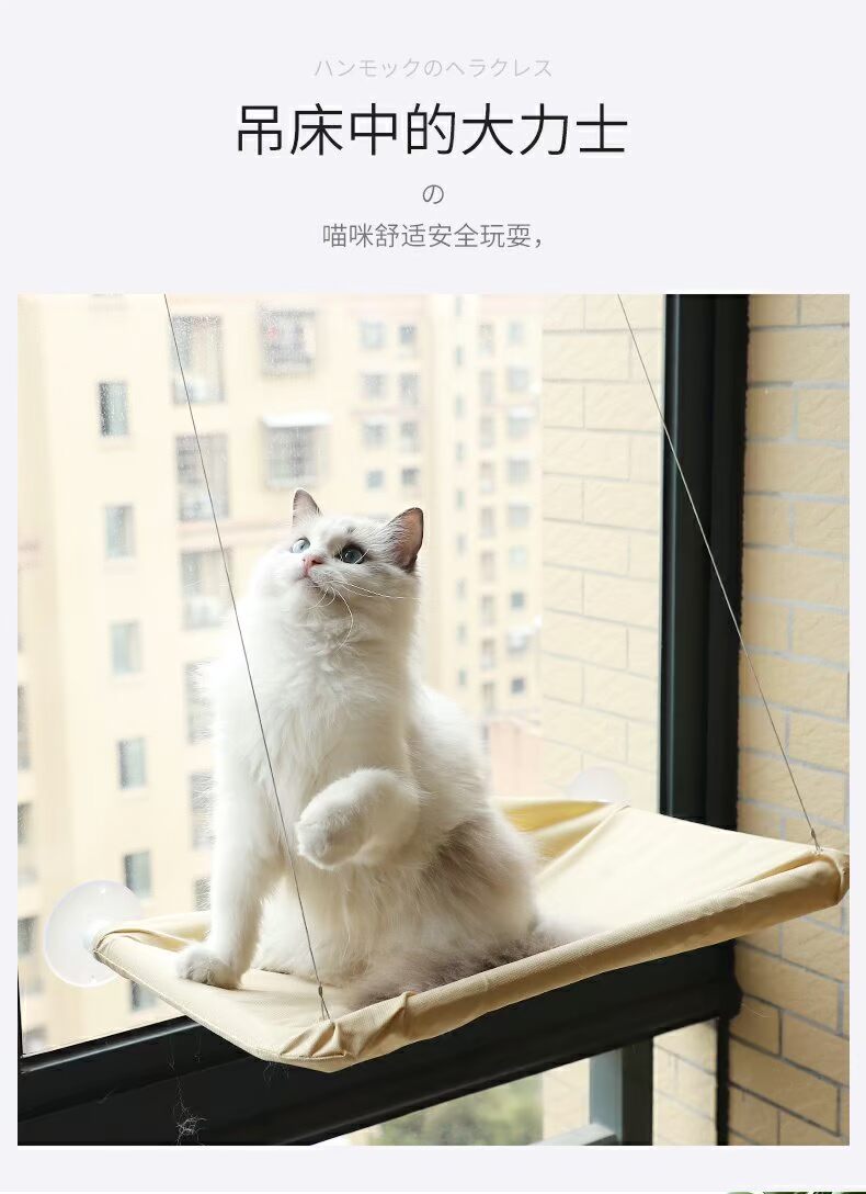 Petstwo mèo võng treo ổ cắm treo cửa sổ kính đu hút vật nuôi lồng mèo mèo mèo giường - Cat / Dog hàng ngày Neccessities bình nước tự động cho chó