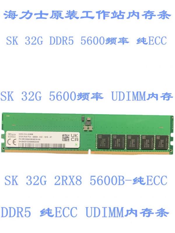 Sk Hynix 32g 16g 2Rx8 Ddr5 4800/5600B Pure Ecc Server Memory Udimm