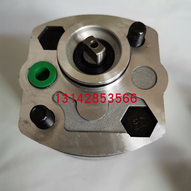 Cargo Ladder Lift Gear Oil Pump Accessories 3 KW 4 KW Power Unit Vegetable Delivery Machine Pile High Oil Pump Repair