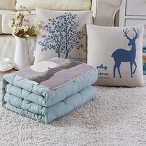 Cotton and linen pillow quilt dual-purpose car cushion is air-conditioned by office waist lunch break summer cool bed bedside backrest