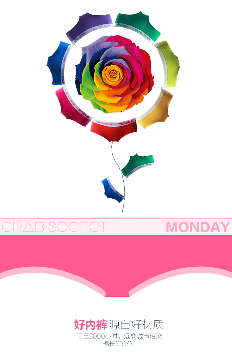 Slip jeunesse CRAB SECRET SXS-nsxqkq en coton - Ref 668559 Image 9