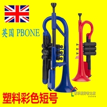 British pCornet plastic cornet trumpet brass instrument B flat cornet beginners grade examination performance Pippen