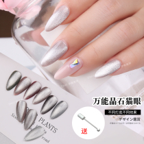 Universal spar Cats Eye Nail Polish diamond high-gloss Wide Cats Eye powder smoothie snow light sand Moonstone variable seal layer