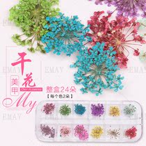 Manicure flower jewelry real flower Japanese Nail Polish decoration three-dimensional 12-color starry henna stickers natural petals