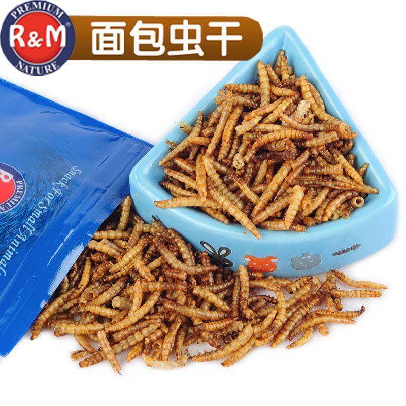 Small pet mealworm dried mealworm hamster food nutrition protein hedgehog hamster snack 30g
