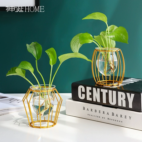 Креативный стеклянный прозрачный цветочный горшок для гостиной, простой и элегантный дизайн