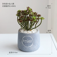 Серая модель+сказочная