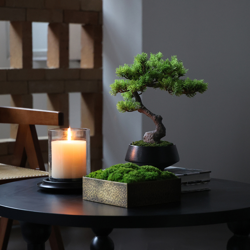 New Chinese-Style High-Quality Imitation Welcoming Pine and Arhat Pine Bonsai for Tea Room, Coffee Table, Negotiation Table, Display Shelf, Entryway Side Table, and Green Plants