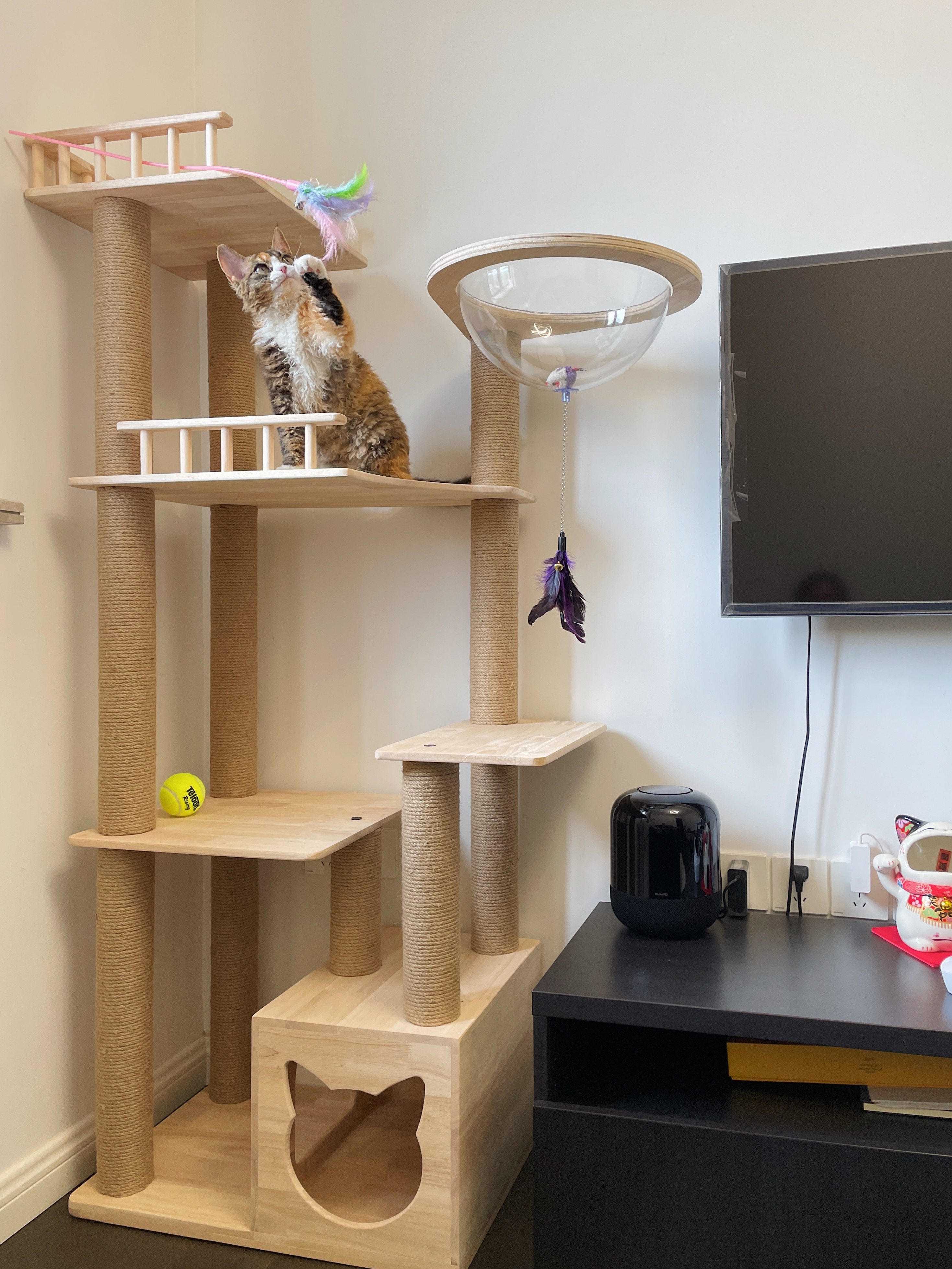 Water Star Meow to remember eco-friendly solid wood Large cat climbing Cat Rack Kitty Supplies Cat catwalk Cat Tree Integrated Cat Catch-Taobao