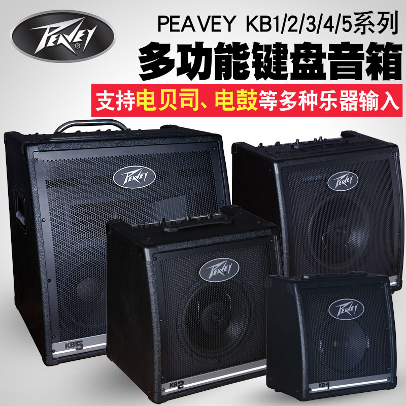 Peavey Multi-function Keyboard Speaker KB 1 2 4 5 KB3 Electronic Drum Guitar Bass Rehearsal Vocal monitor