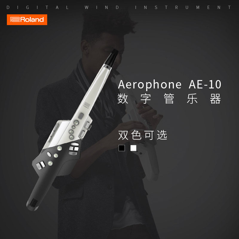 Roland Rolland AE20 AE30 AE05 AE01C AE01C blow pipe electrosax SAX with Bluetooth speaker