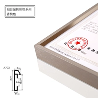 703 Цвет шампанского