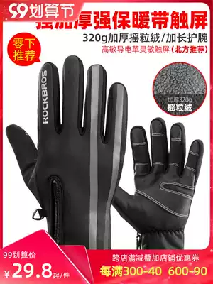 Rock brothers bicycle gloves winter waterproof cold-proof mountain bike locomotive warm riding gloves full finger