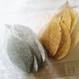 Золотая листья вена Листь