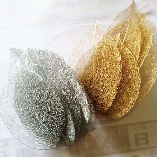 Золотая листья вена Листь