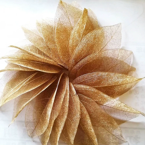 Золотая листья вена Листь