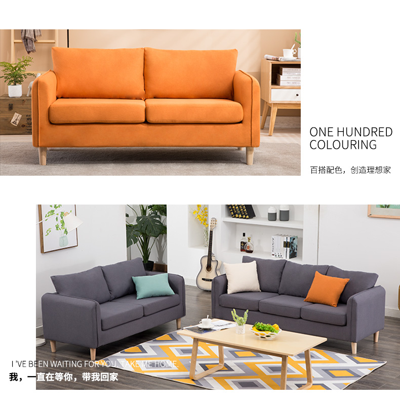 Nordic đơn giản căn hộ nhỏ hai hai ba vải giải trí sofa sofa thuê căn hộ nhỏ có thể tháo rời và có thể rửa đôi - Ghế sô pha ghế sofa cổ điển