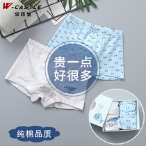Wisteria Fort childrens underwear boys two sets of cotton boxer pants 2020 new middle and Big Boy shorts