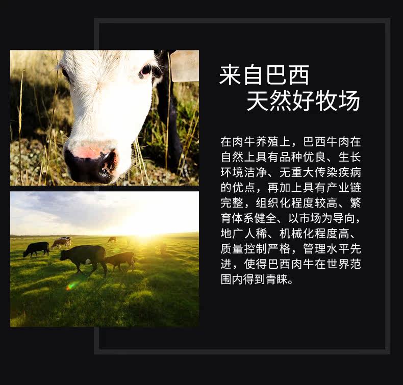 伊赛 巴西进口 草饲牛腱子肉 700g 图14
