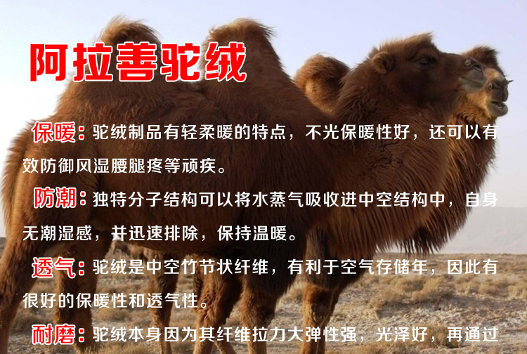 Pantalon collant personne âgée - Ref 751619 Image 18