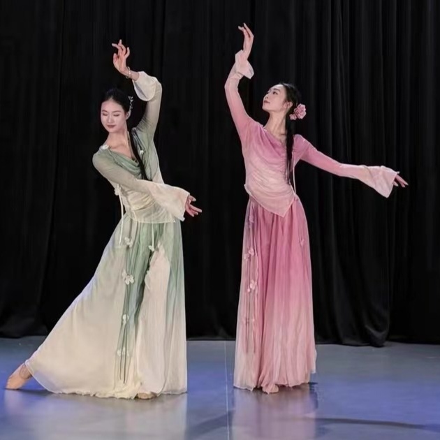 Spring Ode New Style Gauze Suit for Classical Dance Performance: Yuanyangxi Classical Dance Costume, Spring Festival Performance Outfit, Super Fairy-Like