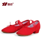 赛纱真皮芭蕾舞鞋带跟教师鞋软底帆布女舞鞋中跟民族舞鞋女练功鞋