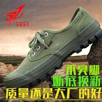 3537 Liberation shoes men and women military training sails cloth shoes non-slip and abrasion resistant yellow rubber shoes worksite for work and labor shoes