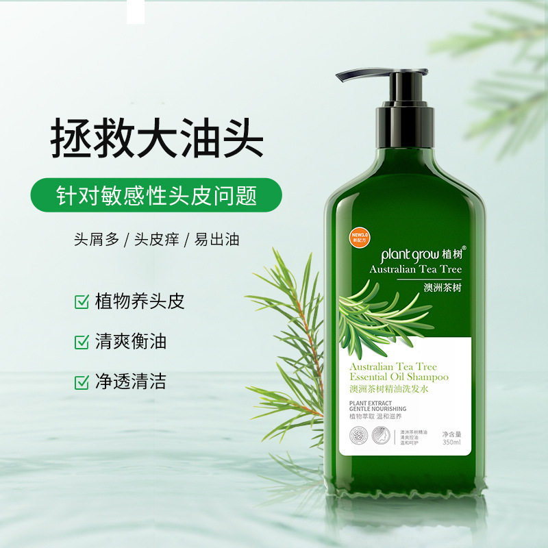 Australian tea tree essential oil shampoo scalp cleansing dandruff refreshing tea tree oil removes mites facial eye lashes