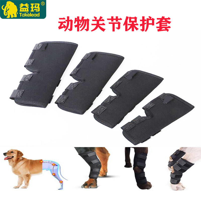益玛动物关节护膝腿骨折绷带狗受伤包扎动物骨裂固定犬绑带狗护套