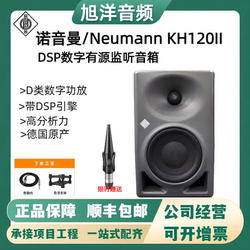 Neumann/Norman 전문 액티브 모니터 스피커