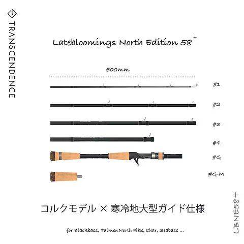 TRANSCENDENCE トラベルマルチセクションフィッシングロッド（日本製）